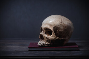 Still life of human skull that died for a long times ,concept of horror or thriller movies of scary...