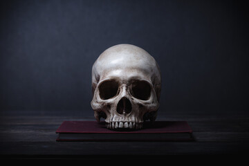 Still life of human skull that died for a long times ,concept of horror or thriller movies of scary...