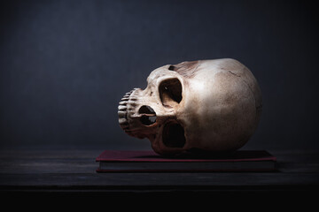 Still life of human skull that died for a long times ,concept of horror or thriller movies of scary...