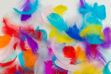 Many colorful feather texture