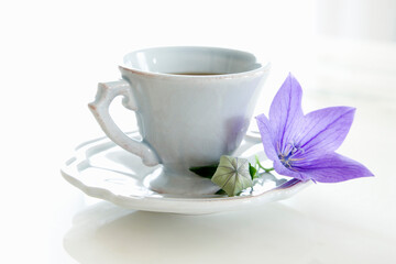 Fototapeta na wymiar キキョウの花とコーヒーカップ