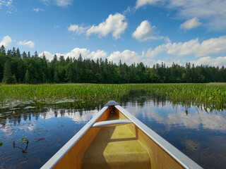 Naklejka premium Canoe in weedy river