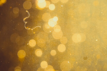 Dark Abstract Gold bokeh sparkle on black
