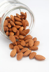 almond on white background