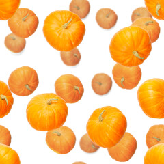 Seamless pattern with pumpkin. Autumn abstract seamless pattern made from Pumpkins on the white background. Pumpkin quality pattern.