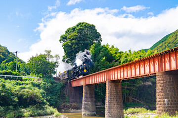 Obraz premium 煙を噴きながら鉄橋を走行する蒸気機関車