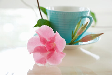 Obraz na płótnie Canvas デプラデニアの花とコーヒーカップ