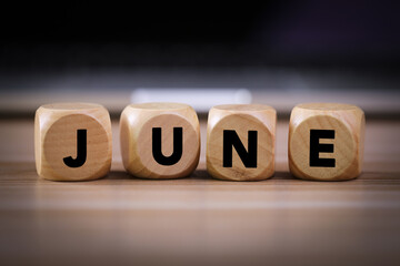 June Concept Wooden Cube Blocks