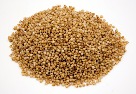 Close-up of kodo millet grains on a  white background