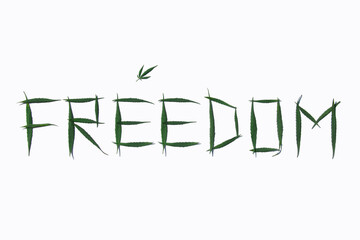 Word FREEDOM from green hemp leaves on a white background. Inscription made from marijuana leaves,...
