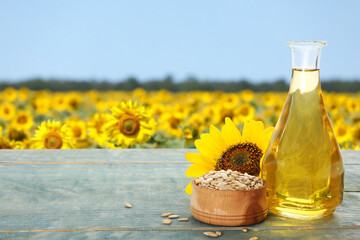 Sunflower oil and seeds on blue wooden table near blooming field. Space for text