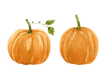 Two ripe autumn pumpkins isolated on white background. Watercolor hand-drawn illustration. Perfect for your project, greeting cards, prints, covers, patterns, invitations, menu, logo, decor.