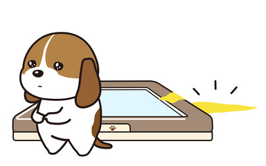 便器からはみ出しておしっこをしてしまった子犬　ビーグル犬 © yamamedal