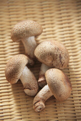 椎茸