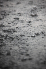 雨の表情