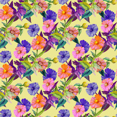 Summer bouquet of flowers.Seamless pattern.Image on white and colored background