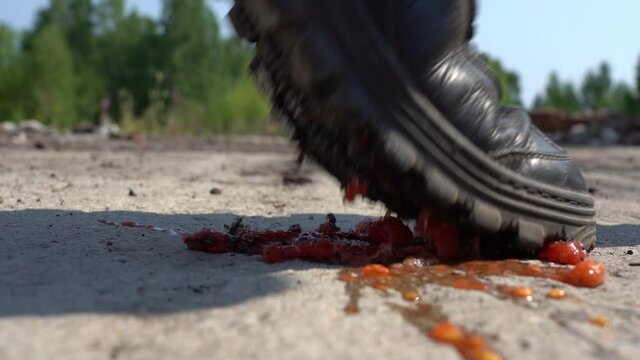 A huge dirty boot crushed a small tomato. Macro. He stepped in and crushed a tomato with his foot. Slow motion.