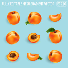 Set of ripe apricots on a blue background.