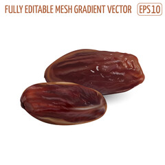 Two dry dates on a white background.