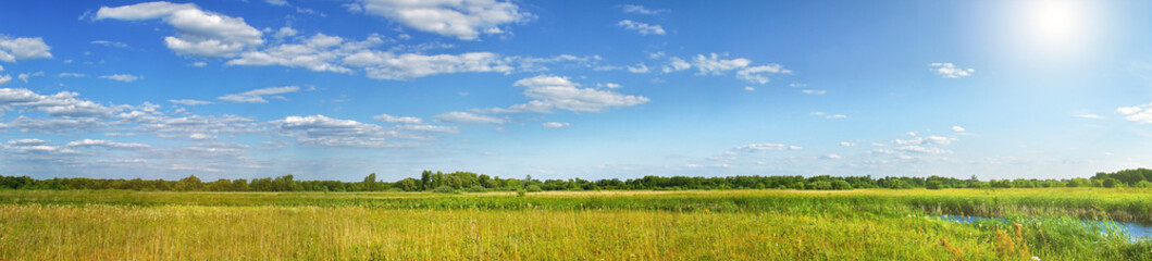 Panorama of a summer meadow against a blue sky with clouds in the sunlight. Summer landscape