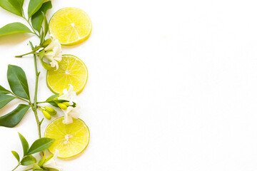 herbal vegetables lemon slice arrangement flat lay postcard style on background white 