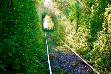 The Arch of Love in South Ural, Russia. Autumn yellow and green tunnel of trees in the forest ....