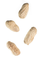 Dropping unpeeled peanuts isolated on white