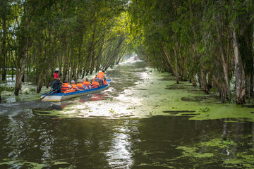 Tourism motorboat in cajuput forest in floating water season in Mekong Delta, Can Tho, Vietnam