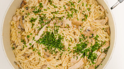Pasta with chicken, mushrooms, and Alfredo sauce served with fresh green chives close up