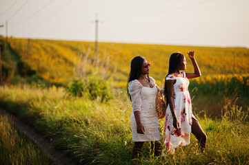 Two pretty young black friends woman wear summer dress pose in a sunflower field.