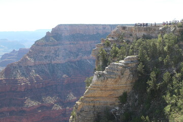 grand canyon state