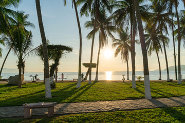 Tropical beach with coconut palm tree in morning sunrise in Nha Trang beach, central Vietnam