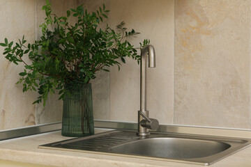 Kitchen sink with faucet and vase with plant