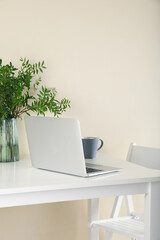 Laptop, vase with plant and coffee on white table
