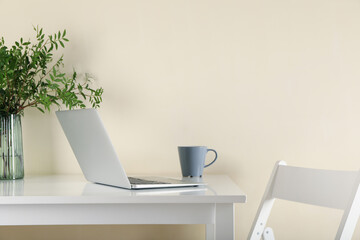 Laptop, vase with plant and coffee on white table
