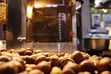 korean chestnut