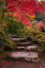 Stone path surrounded by lush, vibrant fall colors at Seattle Japanese Garden
