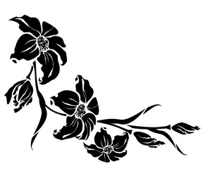 Flower branch isolated on white background