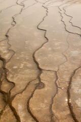 Nature painting pattern texture. Form by water movement and temperature.