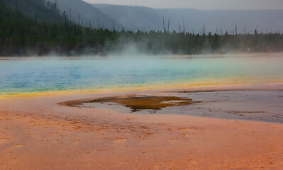 yellowstone grand prismatic hot springs. Glowing spring background with mist steam and tree and mountain.