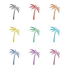 Simple palm tree icon, color set