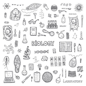 Set with hand drawn biology images. Science collection. Vector banner. May use as a coloring page