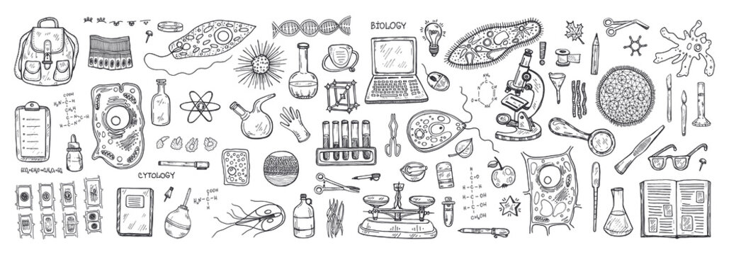 Set With Hand Drawn Biology Images. Science Collection. Vector Banner. May Use As A Coloring Page