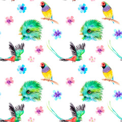 watercolor drawing of birds - Resplendent Quetzal and guldova amadina, gould finch - seamless pattern