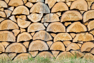 Prepared firewood, stacked in a woodpile