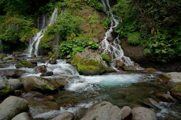 渓流に流れ込む美しい滝　-吐竜の滝、山梨県、日本
