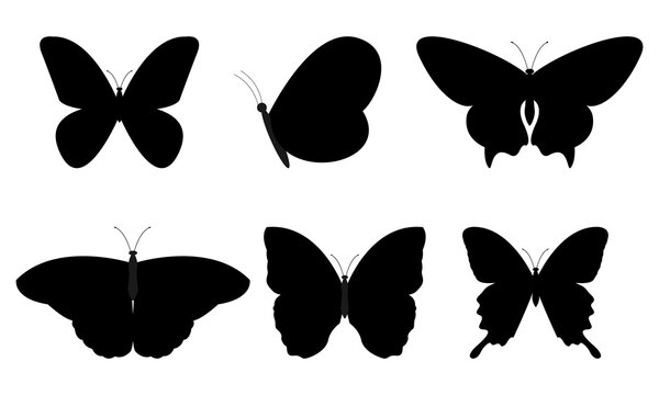 Set of Butterfly Silhouette Vector Design Illustration.