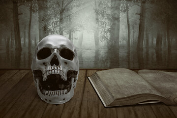 Human skull and book on the wooden table with lake