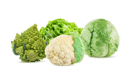 Group of vegetables cabbage, romanesco, cauliflower, lettuce isolated on white background