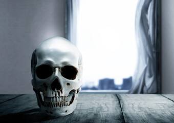 Human skull on the wooden table